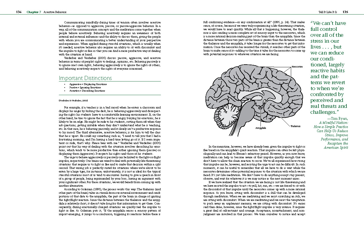 Communicating Mindfully interior pages Communicating Mindfully interior pages